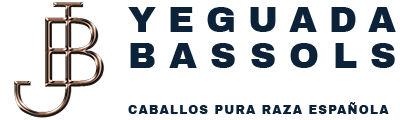 Yeguada BASSOLS caballos pura raza española